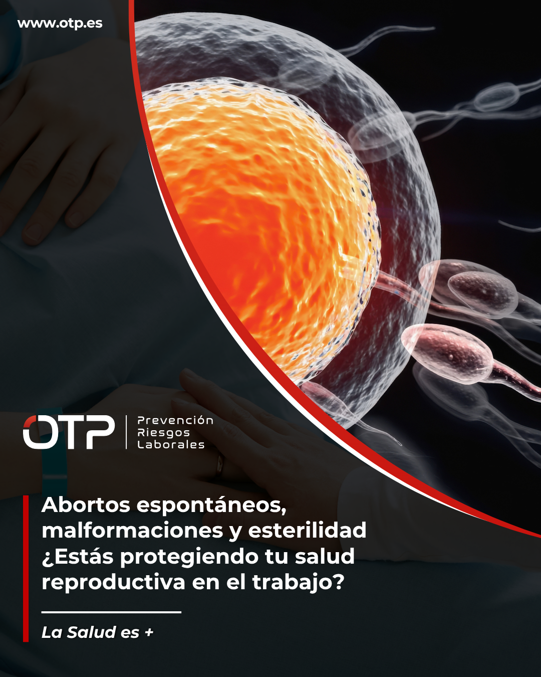 Abortos espontáneos, malformaciones y esterilidad ¿Estás protegiendo tu salud reproductiva en el trabajo?
