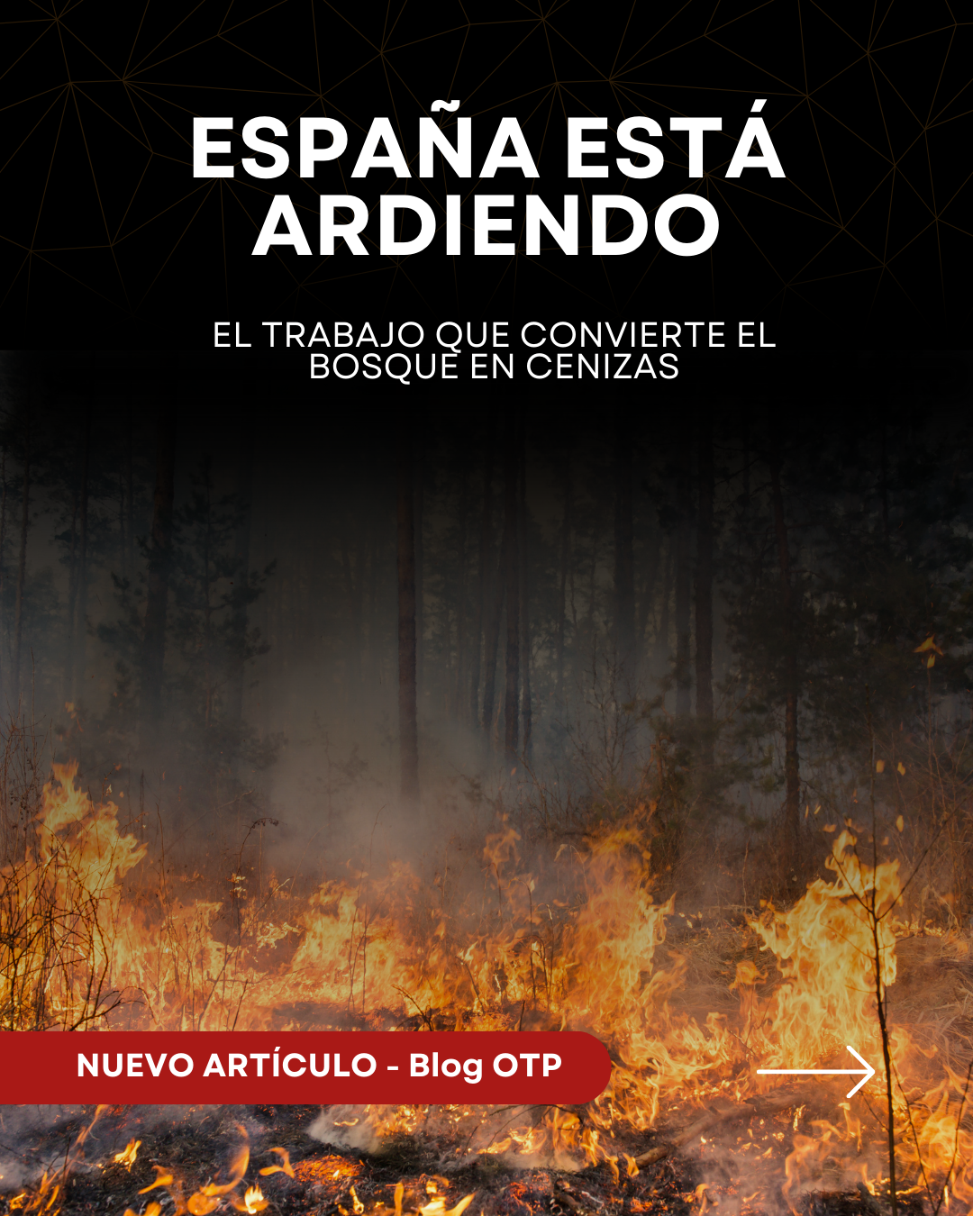 España ardiendo: el trabajo que convierte el bosque en cenizas