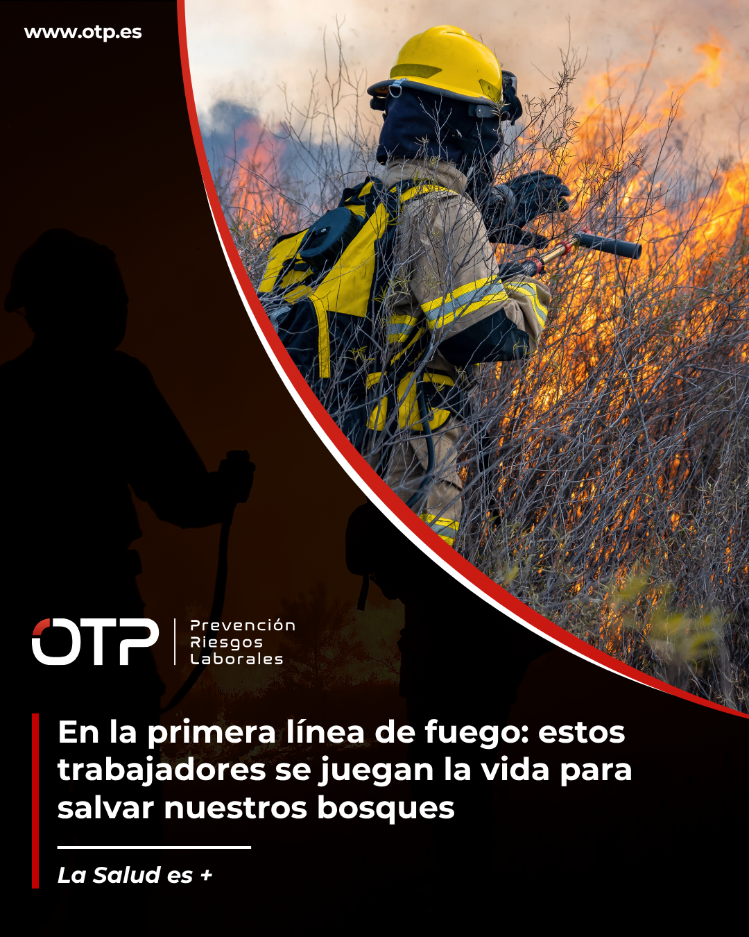 En la primera línea de fuego: estos trabajadores se juegan la vida para salvar nuestros bosques